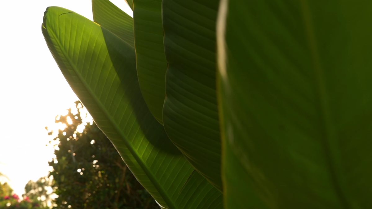 Portfolio video sample 11
